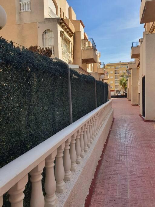 Apartments Near Park Torrevieja Exterior foto